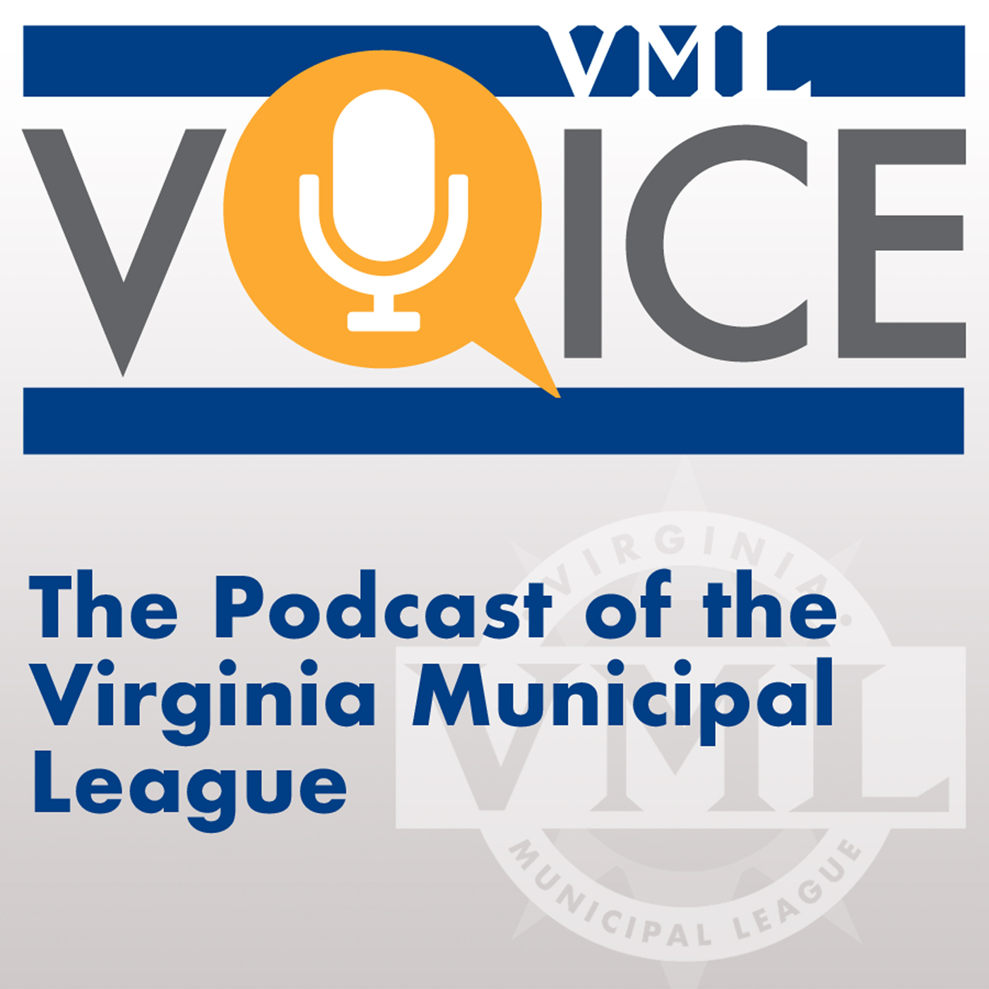 VML Voice VML Voice